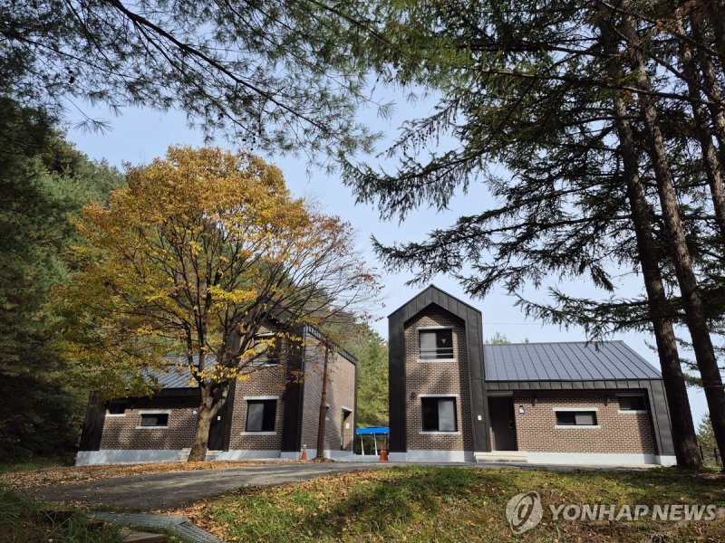 정선 도사곡 휴양림 (출처=연합뉴스)