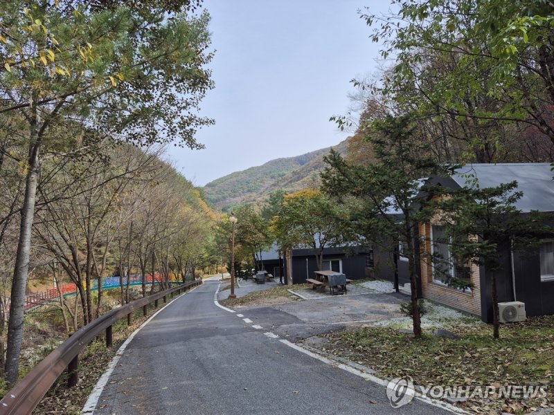정선 도사곡 휴양림 (출처=연합뉴스)