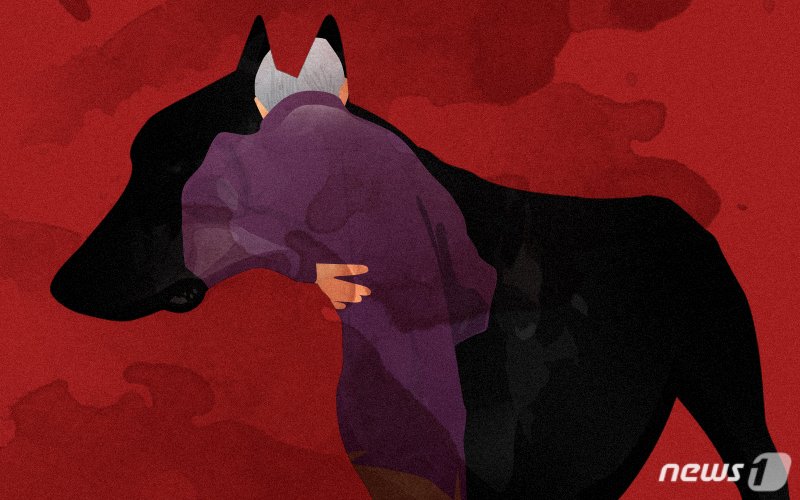 택배 기사 잇달아 '중상'…맹견 개물림 사고낸 50대 견주