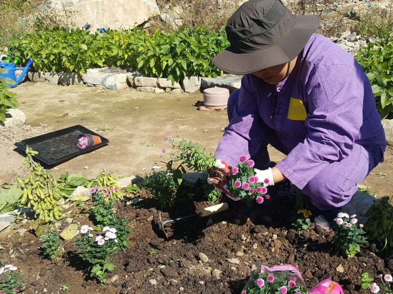 [세종=뉴시스] 농촌진흥청은 자연 기반 치유농업의 정신 건강 개선 효과를 과학적으로 검증할 수 있는 '표준 평가 기준'을 국내 최초로 마련했다고 3일 밝혔다. (사진=농진청 제공) 2025.11.03. photo@newsis.com *재판매 및 DB 금지