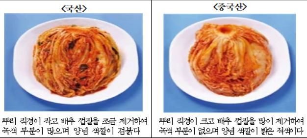 김장철 배추김치 원산지 식별 방법.(국립농산물품질관리원 경북지원 제공. 재판매 및 DB금지)