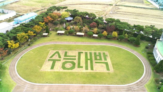 전북여고에 새겨진 '수능대박' 응원문구.(전북교육청 제공, 재판매 및 DB 금지)/뉴스1