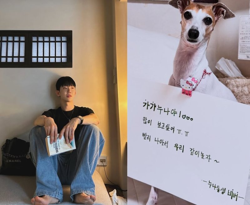 "전이 빨라 항암치료"…조권 반려견 암투병에 응원 물결