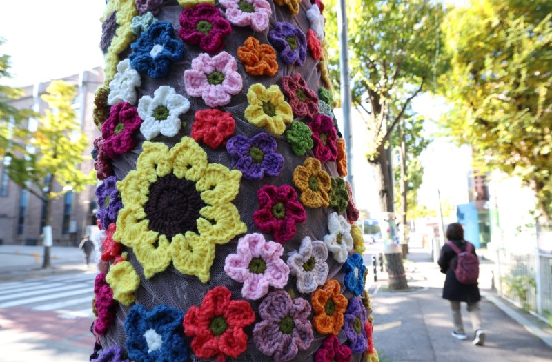 아침 기온이 영하권으로 떨어지며 초겨울 추위를 보인 3일 경기 광명시 하안동 하담길 예술의거리 가로수에 뜨개옷이 입혀져 있다. 2025.11.3/뉴스1 ⓒ News1 김영운 기자