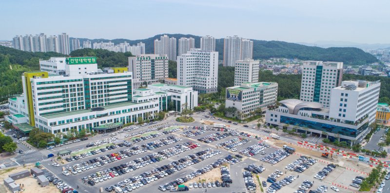 [대전=뉴시스] 건양사이버대학교. (사진=뉴시스 DB). photo@newsis.com