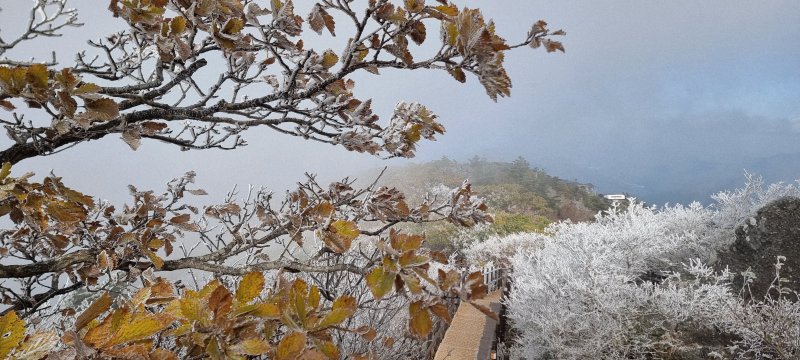 지난달 28일 아침 06시 40분 전북 무주군 덕유산 설천봉의 모습. 덕유산사무소 제공. 재판매 및 DB금지)2025.10.28/뉴스1 ⓒ News1 김동규 기자