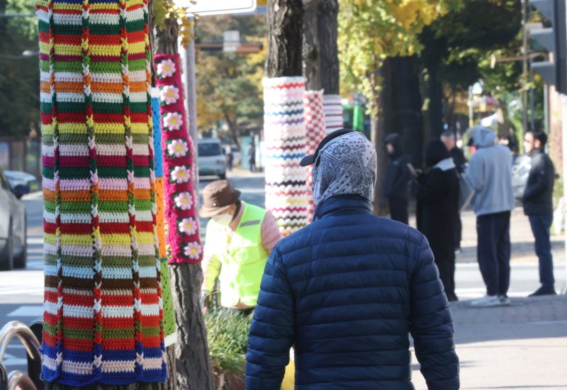 아침 기온이 영하권으로 떨어지며 초겨울 추위를 보인 3일 경기 광명시 하안동 하담길 예술의거리 가로수에 뜨개옷이 입혀져 있다. 2025.11.3/뉴스1 ⓒ News1 김영운 기자