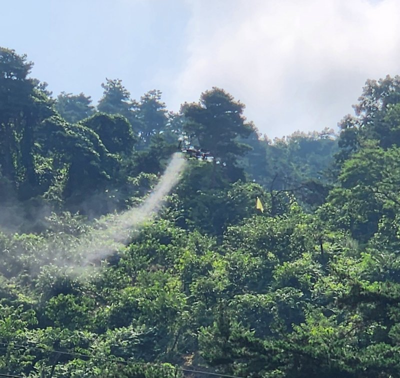 [진주=뉴시스]밤나무해충 무인항공 드론방제 실시.(사진=뉴시스 DB).photo@newsis.com *재판매 및 DB 금지