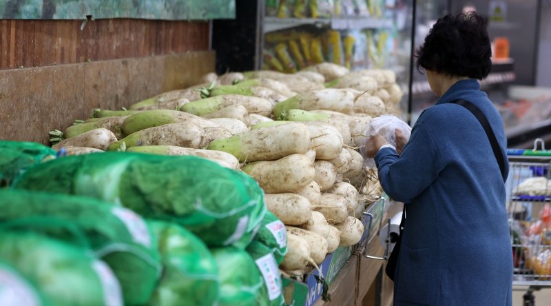 [서울=뉴시스] 김선웅 기자 = 서울 시내의 한 유통매장에서 배추·무 등 김장재료가 판매되고 있다. 2025.11.02. mangusta@newsis.com