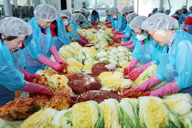 [부산=뉴시스] 하경민 기자 = 부산 사상구 경남정보대학교 교직원과 학생, 자원봉사원 등 100여 명이 대학 내 학생식당에서 김장을 하고 있다. 2024.12.20. yulnetphoto@newsis.com