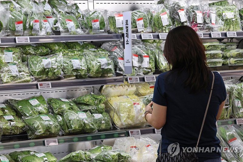 마트에서 장 보는 시민 (출처=연합뉴스)