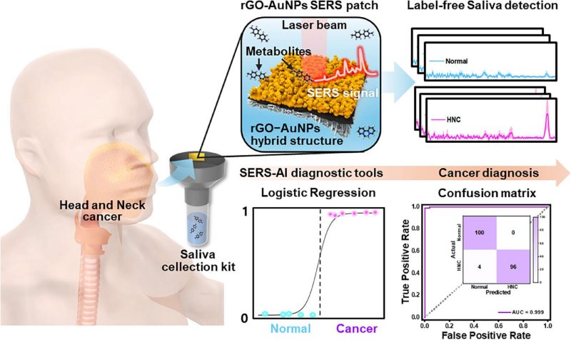 [서울=뉴시스] 침을 이용한 두경부암 진단 개념도. (사진=고려대 제공) 2025.11.03. photo@newsis.com *재판매 및 DB 금지