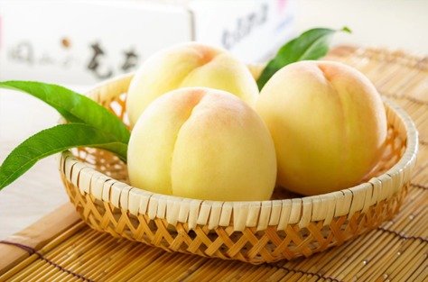 150년 이상의 재배 역사를 가진 백도(오카야마현 제공)