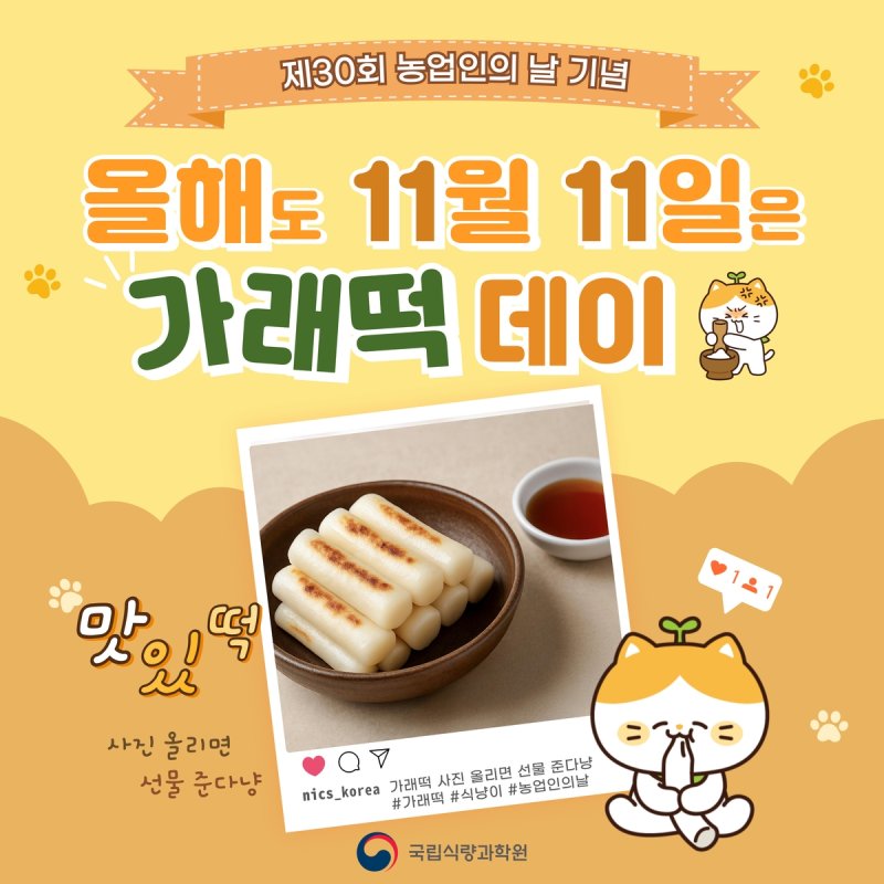 제30회 농업인의 날 기념 '가래떡데이' (출처=연합뉴스)