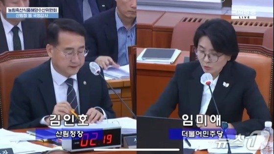 국정감사에서 충주 활옥동굴 불법 운영을 지적하고 있는 임미애 의원.(자료사진)/뉴스1