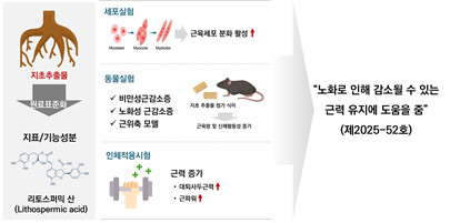 한국식품연구원 제공