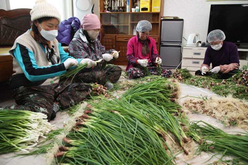 일하는 밥퍼 사업 작업장 (출처=연합뉴스)