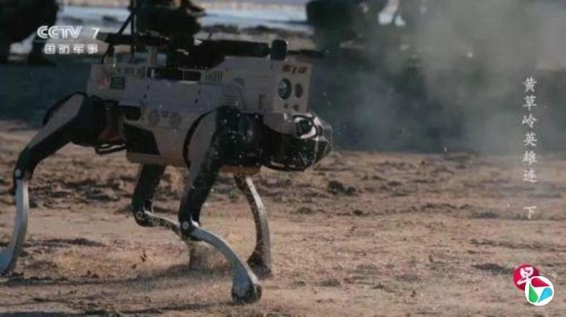 중국 늑대 로봇 /사진=연합뉴스