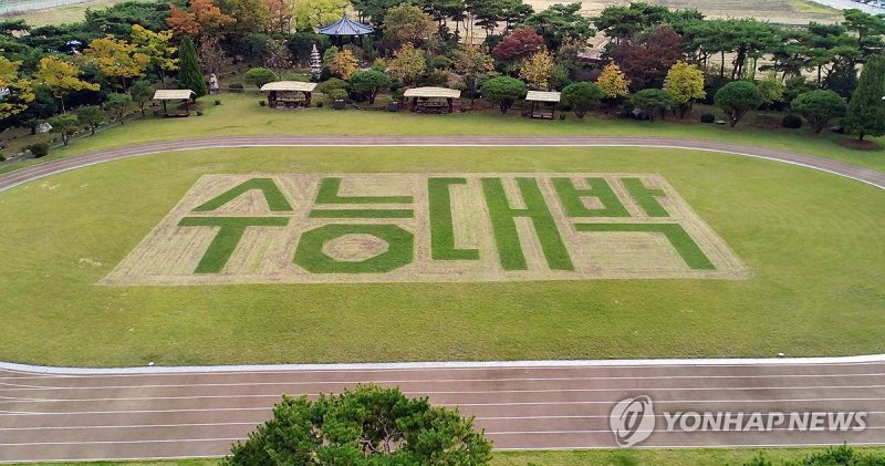 학교 운동장 잔디에 새긴 '수능대박' (출처=연합뉴스)