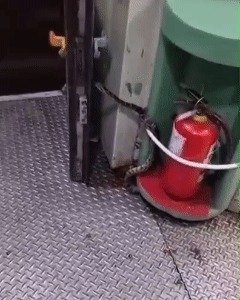 달리는 열차 안에 스르륵 나타난 '이것'…승객들 혼비백산