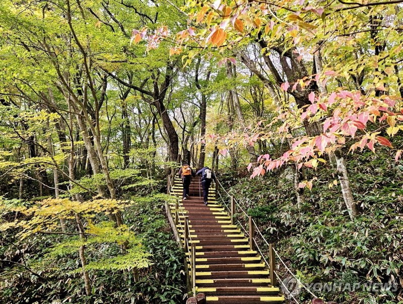제주 한라산 어리목 단풍 가을 산행 (출처=연합뉴스)
