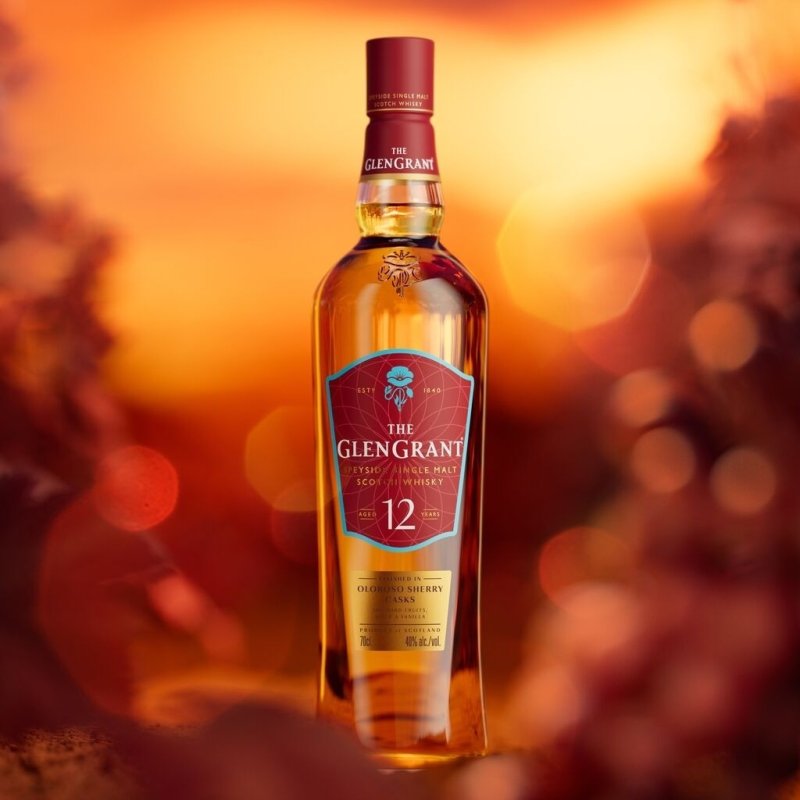 (캄파리코리아 제공)