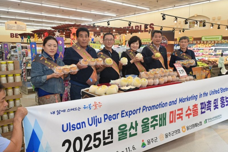 울주배 미국 수출 판촉·홍보 (출처=연합뉴스)