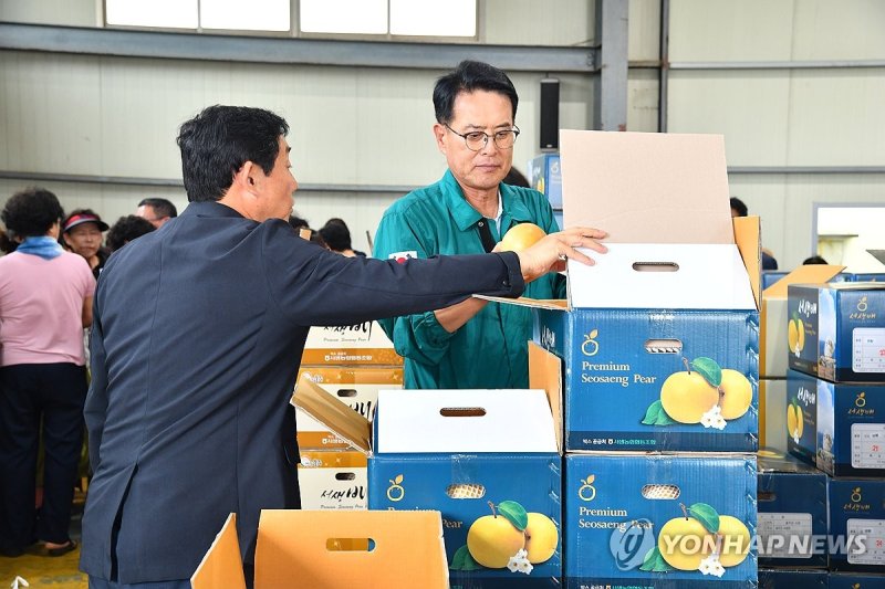 울주 서생에 배 산지공판장 개장 (출처=연합뉴스)