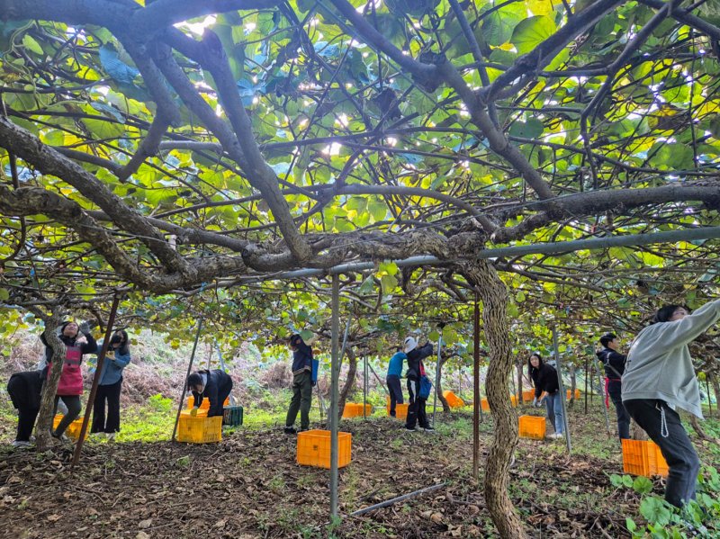 (출처=뉴시스/NEWSIS)