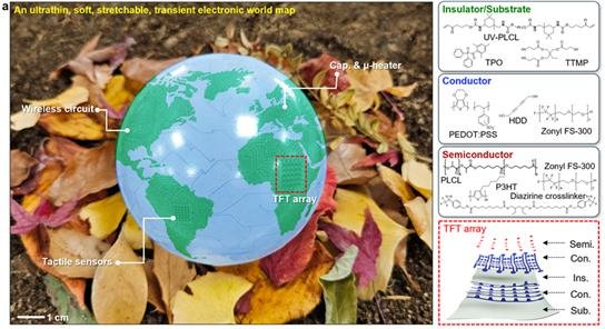 [서울=뉴시스] 초박막형, 유연 및 신축성 시한성 전자시스템으로 구성된 세계지도 이미지(왼쪽), 용액공정 및 광경화 가능한 전자재료의 구성 성분과 박막 트랜지스터의 개략도. (사진=고려대 제공) 2025.11.05. photo@newsis.com *재판매 및 DB 금지