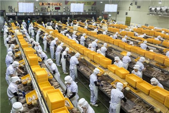 참치통조림이 생산되는 모습 (수과원 제공. 재판매 및 DB 금지)