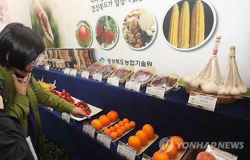 김제서 열린 국제종자박람회 (출처=연합뉴스)