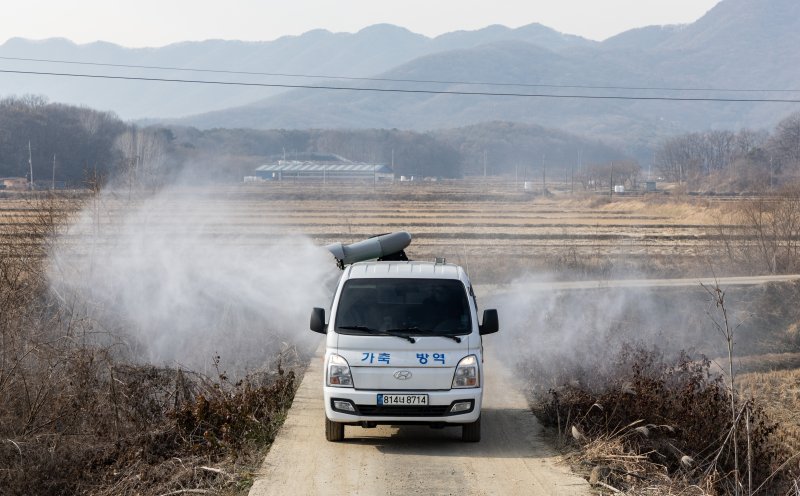 올겨울 첫 고병원성 조류인플루엔자(AI)가 발생한 5일 오후 경기 용인시 일죽면 일대 하천에서 용인축협 관계자가 철새도래지에 대한 방역 작업을 하고 있다. 2023.12.5/뉴스1 ⓒ News1 이재명 기자