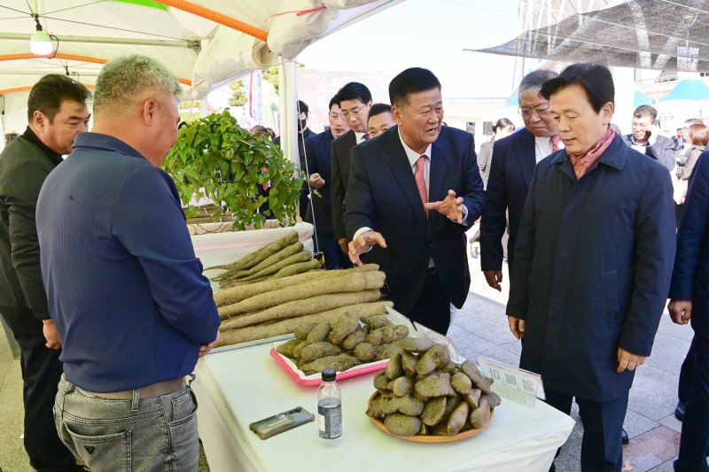 [진주=뉴시스]진주 우엉·마 시배지 축제.(사진=진주시 제공).2025.11.05.photo@newsis.com *재판매 및 DB 금지