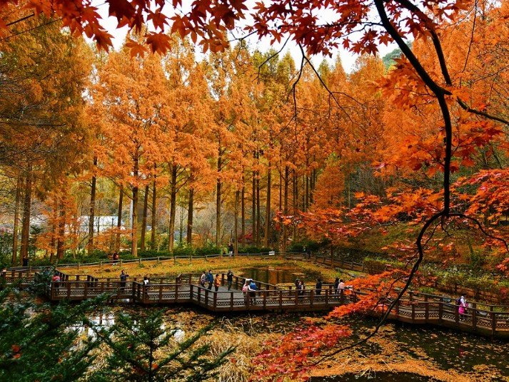 [대전=뉴시스] 대전 장태산휴양림. (사진=뉴시스 DB). photo@newsis.com *재판매 및 DB 금지