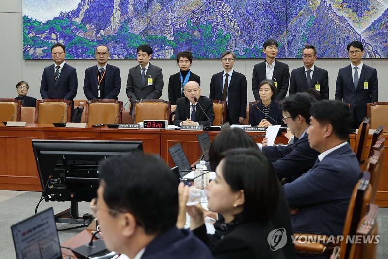 질의하는 서미화 의원 (출처=연합뉴스)