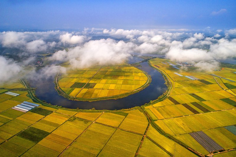 남도의 젖줄 영산강 품은 황금빛 나주평야 전경. (사진=나주시 제공) photo@newsis.com *재판매 및 DB 금지