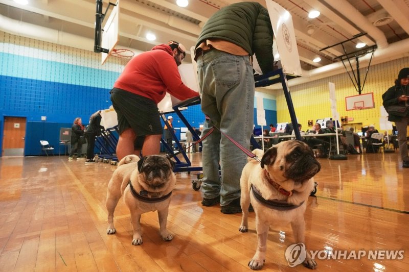 전세계 시선 쏠린 뉴욕시장 선거…30여년만에 투표수 최다