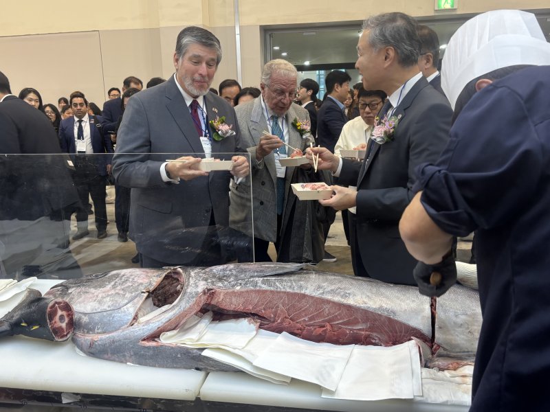 2025 부산국제수산엑스포 동원산업 부스에서 주요 내빈들이 즉석에서 손질된 동해안 참다랑어를 시식하고 있다. 2025.11.5/뉴스1 ⓒ News1 홍윤 기자