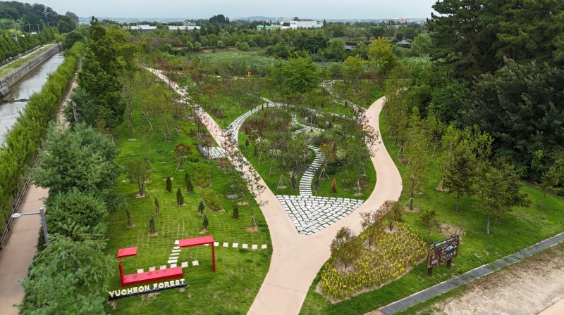 전북 익산에 조성된 유천생태습지 모습.(익산시 제공. 재판매 및 DB 금지)