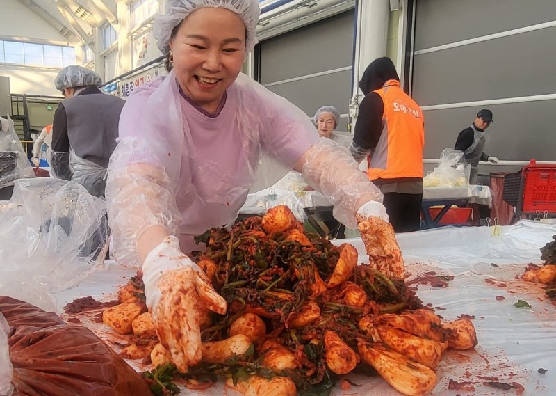 '2025년 평창고랭지김장축제'가 5일 강원 평창군 진부면민체육공원 다목적센터에서 성황리에 개막한 가운데 이날 행사장에서 축제 참가자들이 김장에 나서고 있다. 2025.11.5./뉴스1 2025.11.5/뉴스1 ⓒ News1 신관호 기자