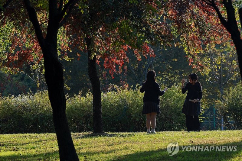 가을 추억 (출처=연합뉴스)