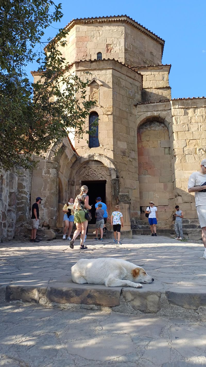 즈바리 수도원을 지키는 흰둥이.