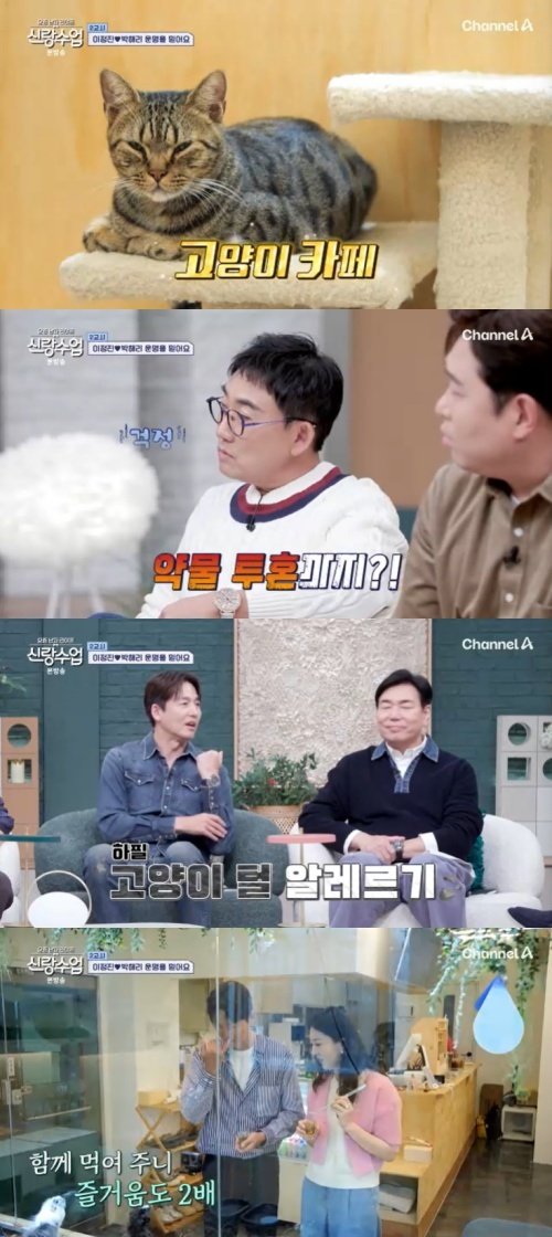 이정진, ♥박해리 위한 '약물 투혼'…고양이카페 데이트