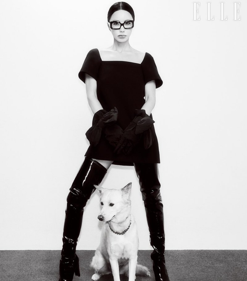 엄정화 반려견과 화보 촬영…독보적 분위기