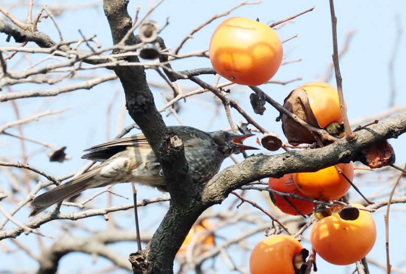 자료사진/뉴스1 ⓒ News1