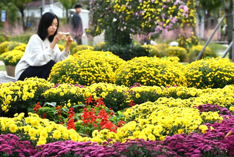 (출처=뉴시스/NEWSIS)