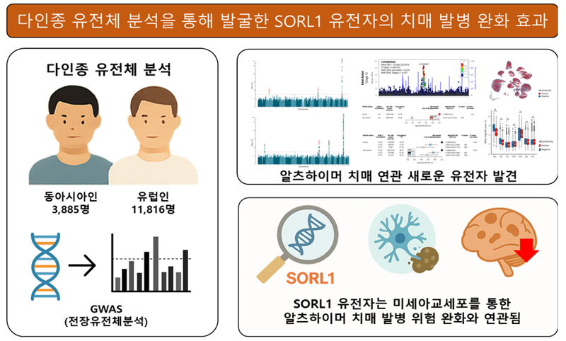 질병관리청 제공