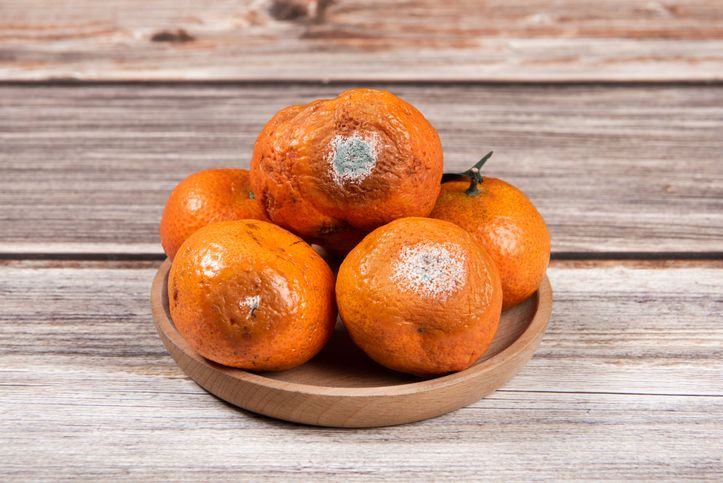 곰팡이 핀 귤, 도려내고 먹어도 되나요? 전문가 답은