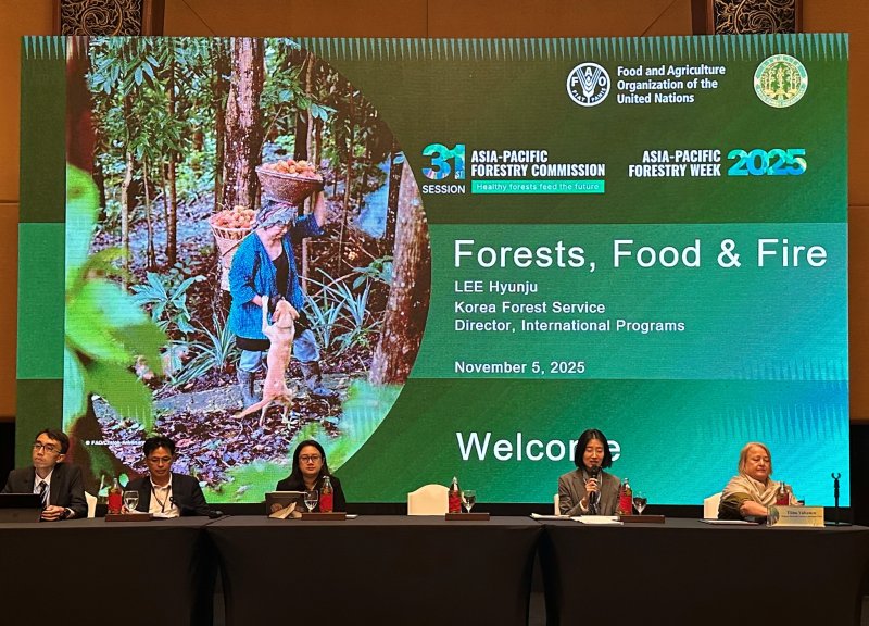 이현주 국제협력담당관이 발표를 하고 있다. (해시 게임 바카라 제공.재판매 및 DB금지)/해시 게임 바카라1